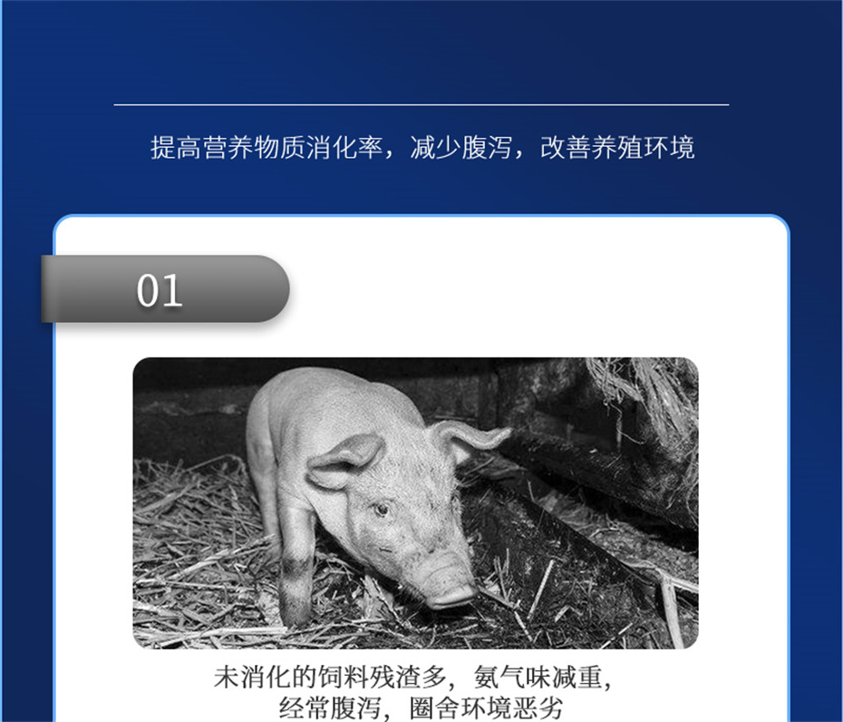 esball世博官网动保猪饲料添加剂肥猪王产品介绍