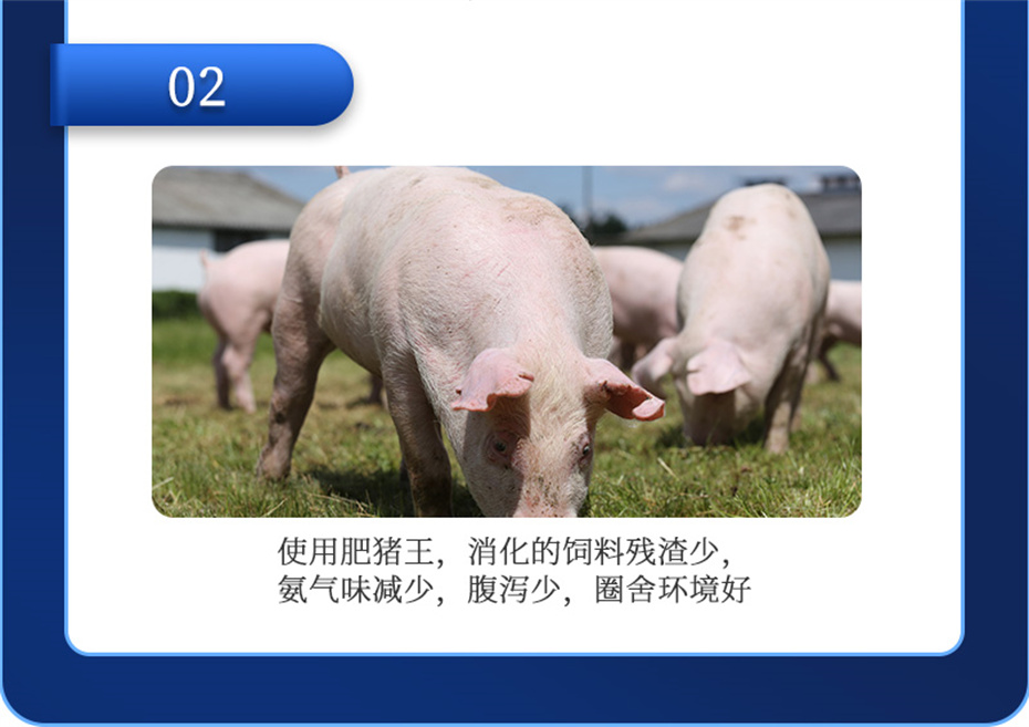 esball世博官网动保猪饲料添加剂肥猪王产品介绍