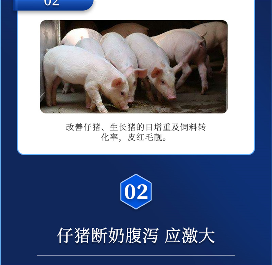 esball世博官网动保猪饲料添加剂仔猪断奶王产品介绍