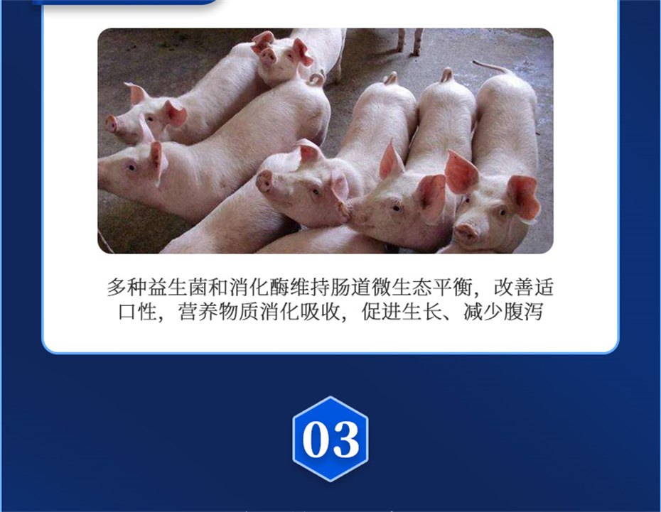 esball世博官网动保猪饲料添加剂仔猪断奶王产品介绍