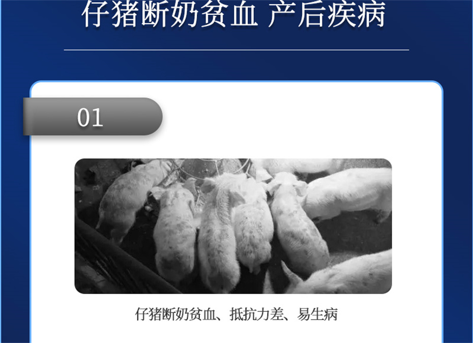 esball世博官网动保猪饲料添加剂仔猪断奶王产品介绍