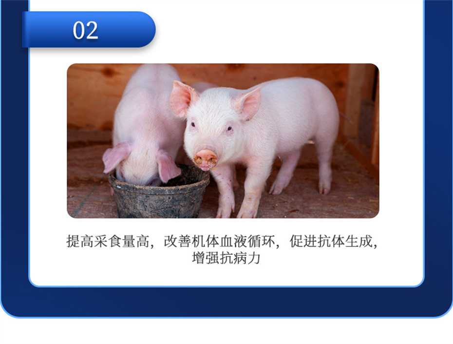 esball世博官网动保猪饲料添加剂仔猪断奶王产品介绍