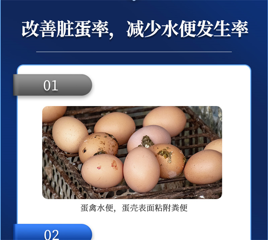 esball世博官网动保禽饲料添加剂强壳宝产品介绍