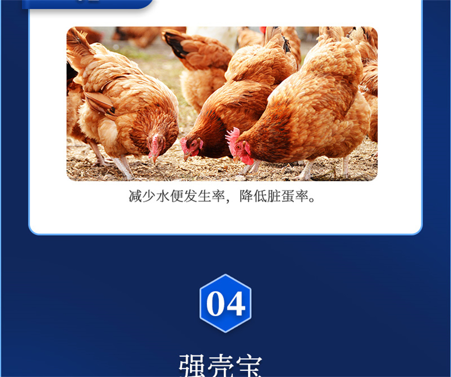 esball世博官网动保禽饲料添加剂强壳宝产品介绍