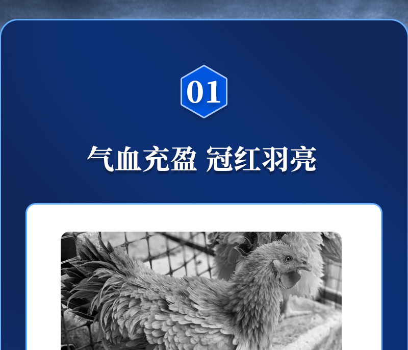 esball世博官网动保禽饲料添加剂好色产品介绍