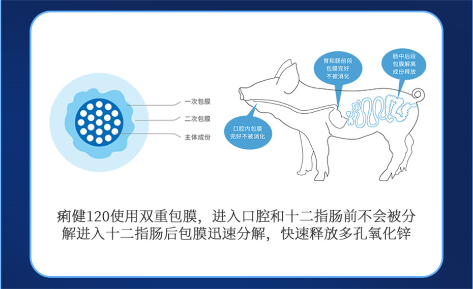 esball世博官网动保猪饲料添加剂痢健120产品介绍
