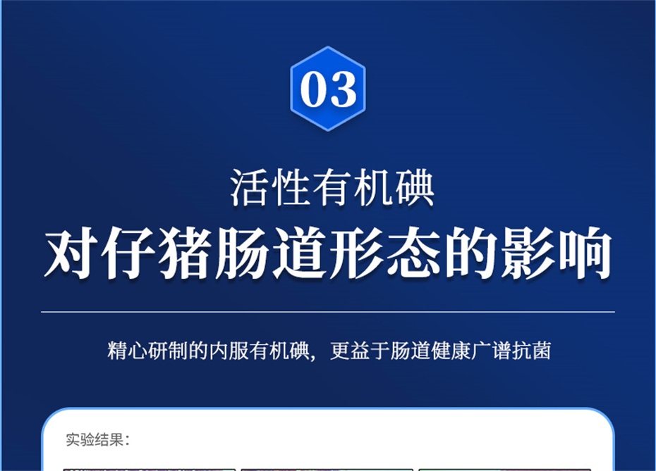 esball世博官网动保猪饲料添加剂痢健120产品介绍
