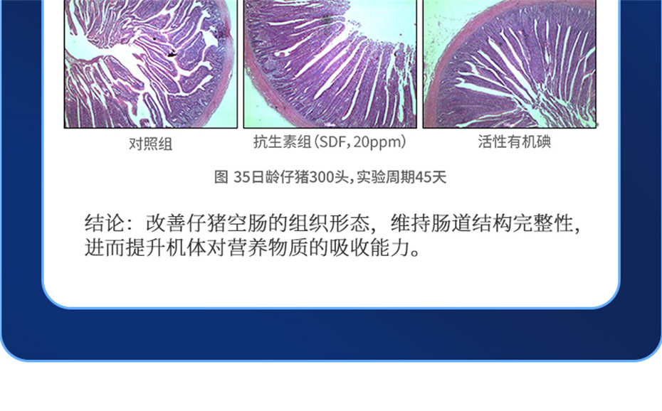esball世博官网动保猪饲料添加剂痢健120产品介绍