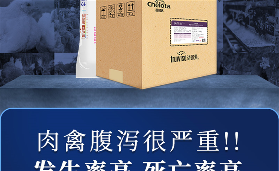 esball世博官网动保禽饲料添加剂美凤宝产品介绍