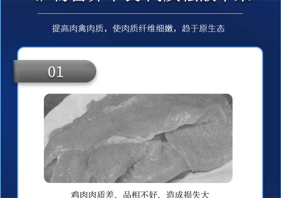 esball世博官网动保禽饲料添加剂美凤宝产品介绍