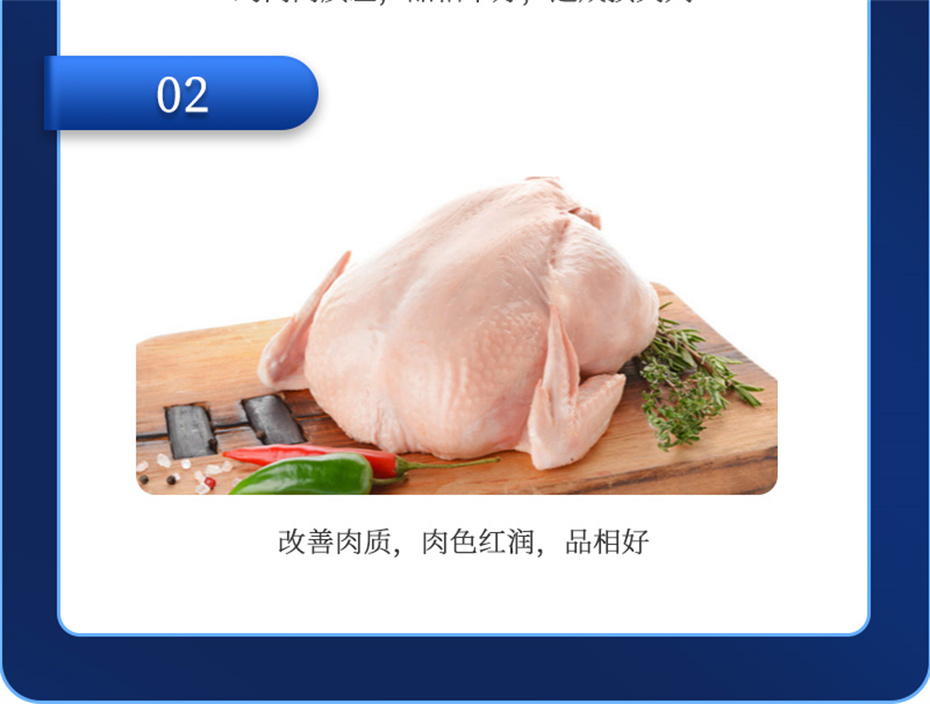 esball世博官网动保禽饲料添加剂美凤宝产品介绍
