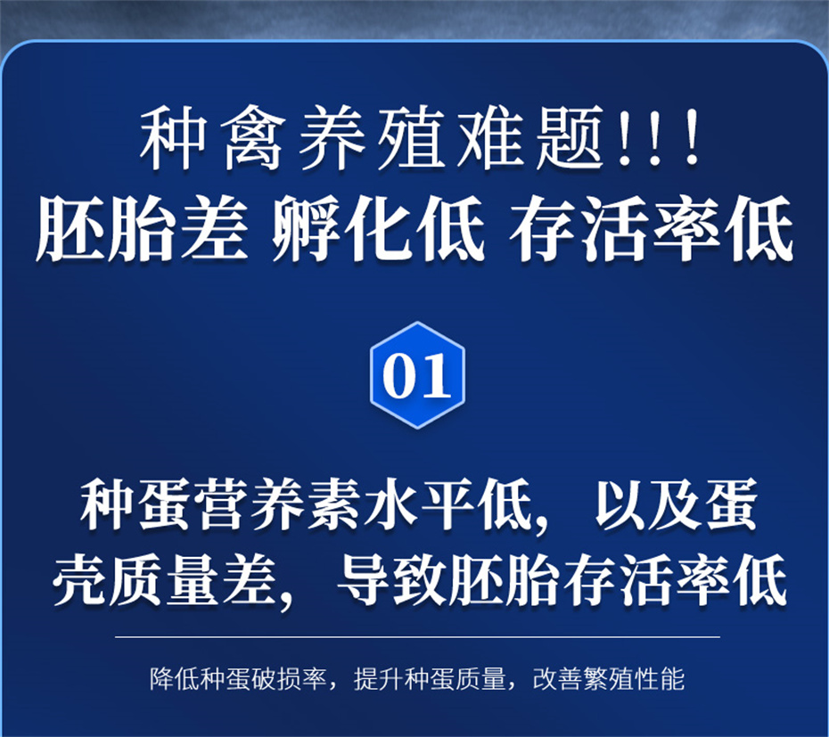 esball世博官网动保禽饲料添加剂孵健宝产品介绍