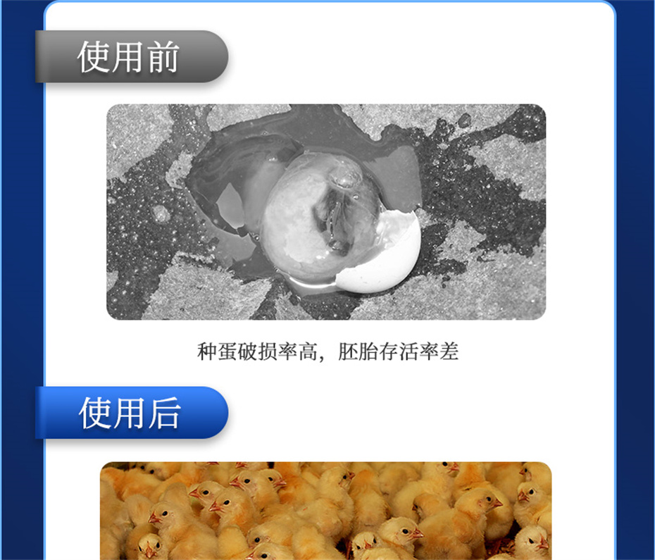 esball世博官网动保禽饲料添加剂孵健宝产品介绍
