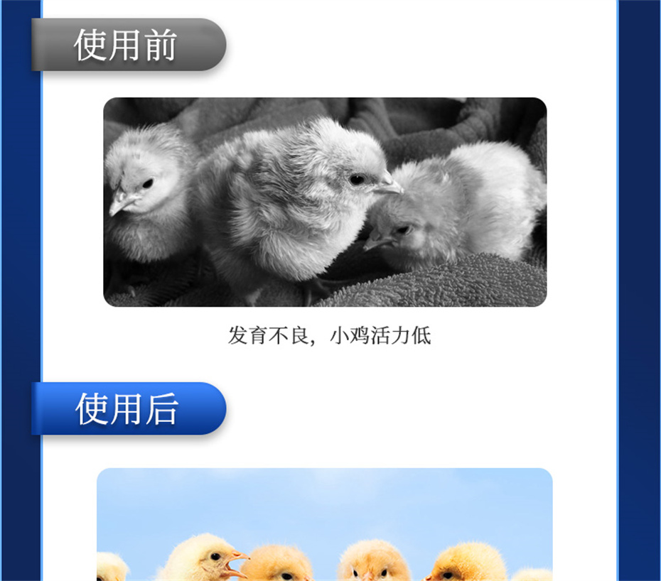 esball世博官网动保禽饲料添加剂孵健宝产品介绍