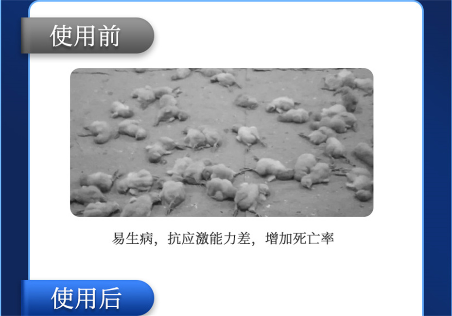 esball世博官网动保禽饲料添加剂孵健宝产品介绍