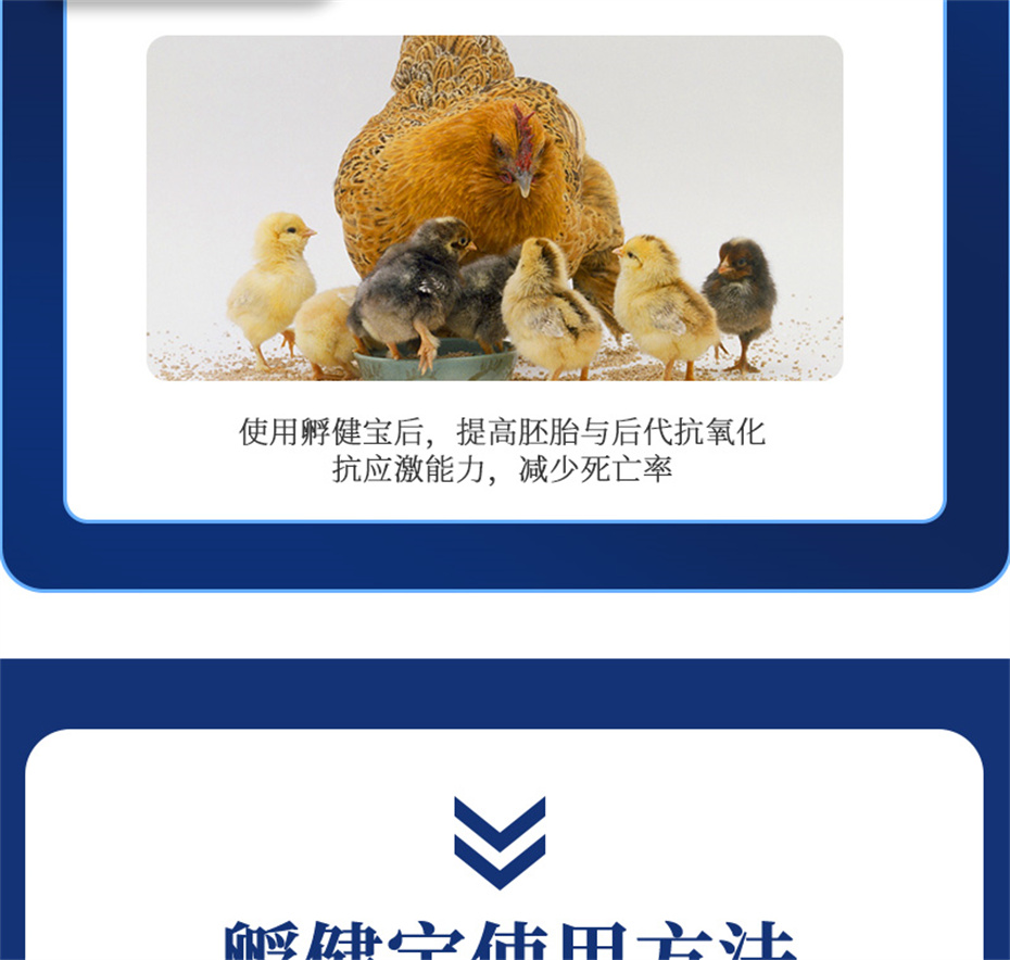 esball世博官网动保禽饲料添加剂孵健宝产品介绍