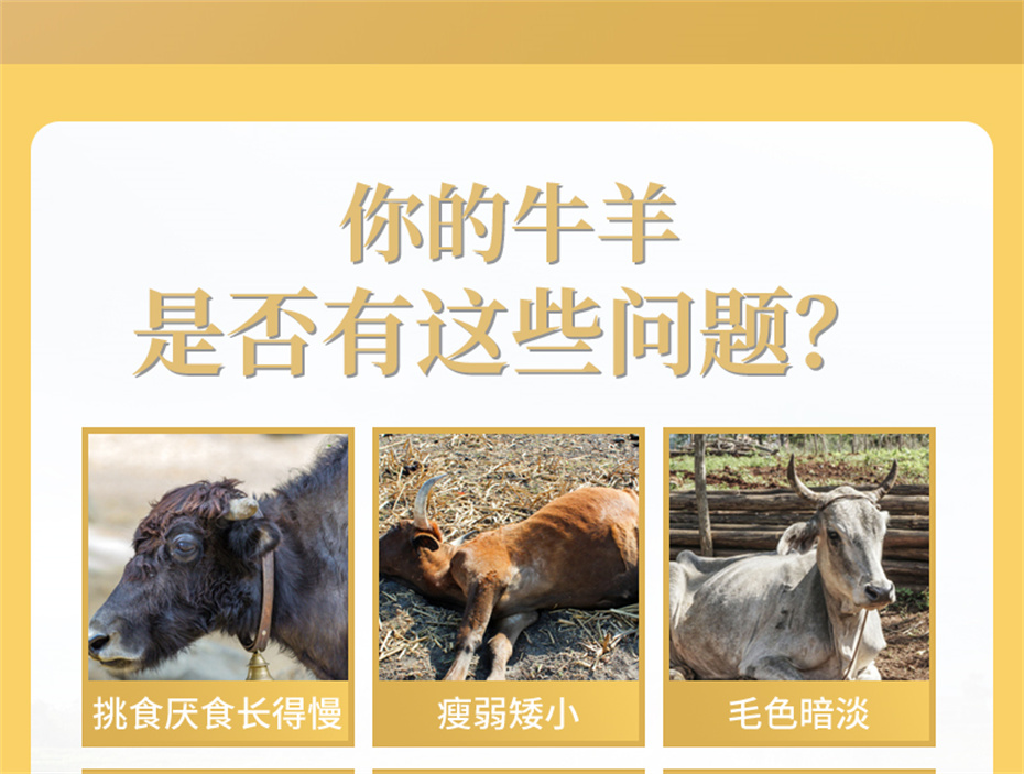 esball世博官网动保牛羊饲料添加剂牛羊壮膘王产品介绍