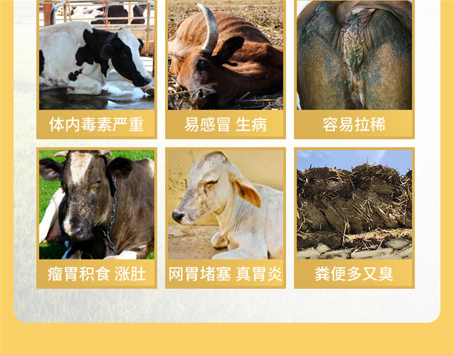 esball世博官网动保牛羊饲料添加剂牛羊壮膘王产品介绍