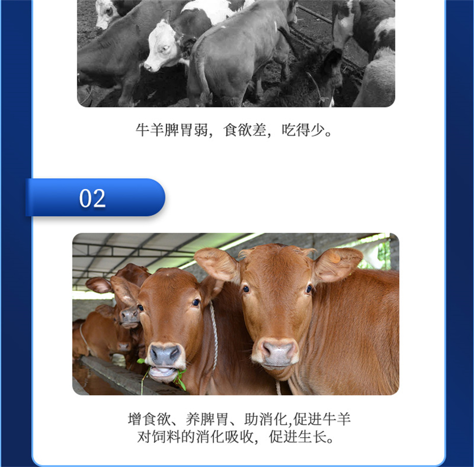esball世博官网动保牛羊饲料添加剂牛羊元帅产品介绍