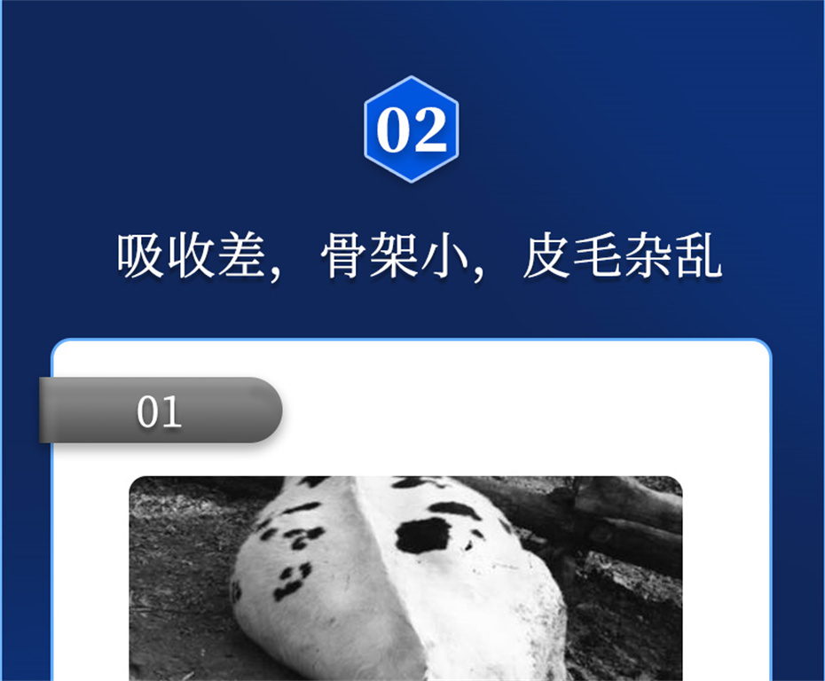 esball世博官网动保牛羊饲料添加剂牛羊元帅产品介绍
