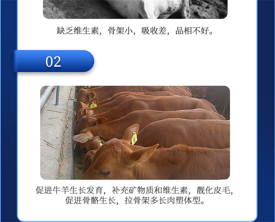 esball世博官网动保牛羊饲料添加剂牛羊元帅产品介绍