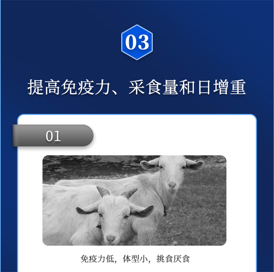 esball世博官网动保牛羊饲料添加剂牛羊元帅产品介绍