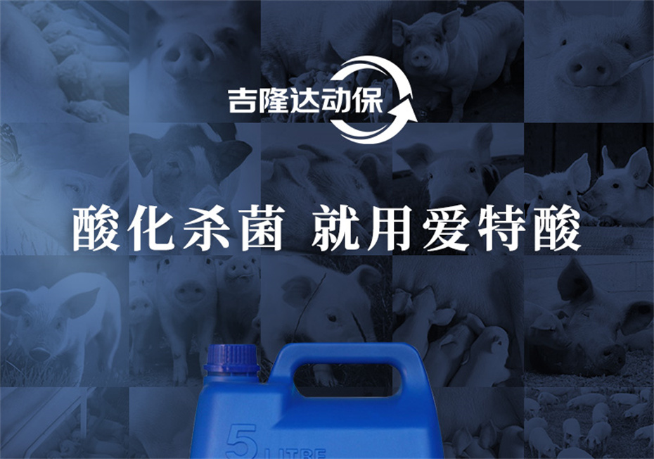 esball世博官网动保猪饲料添加剂爱特酸产品介绍