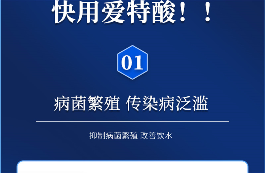esball世博官网动保猪饲料添加剂爱特酸产品介绍