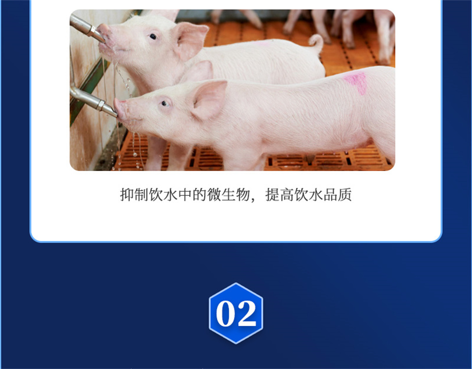 esball世博官网动保猪饲料添加剂爱特酸产品介绍