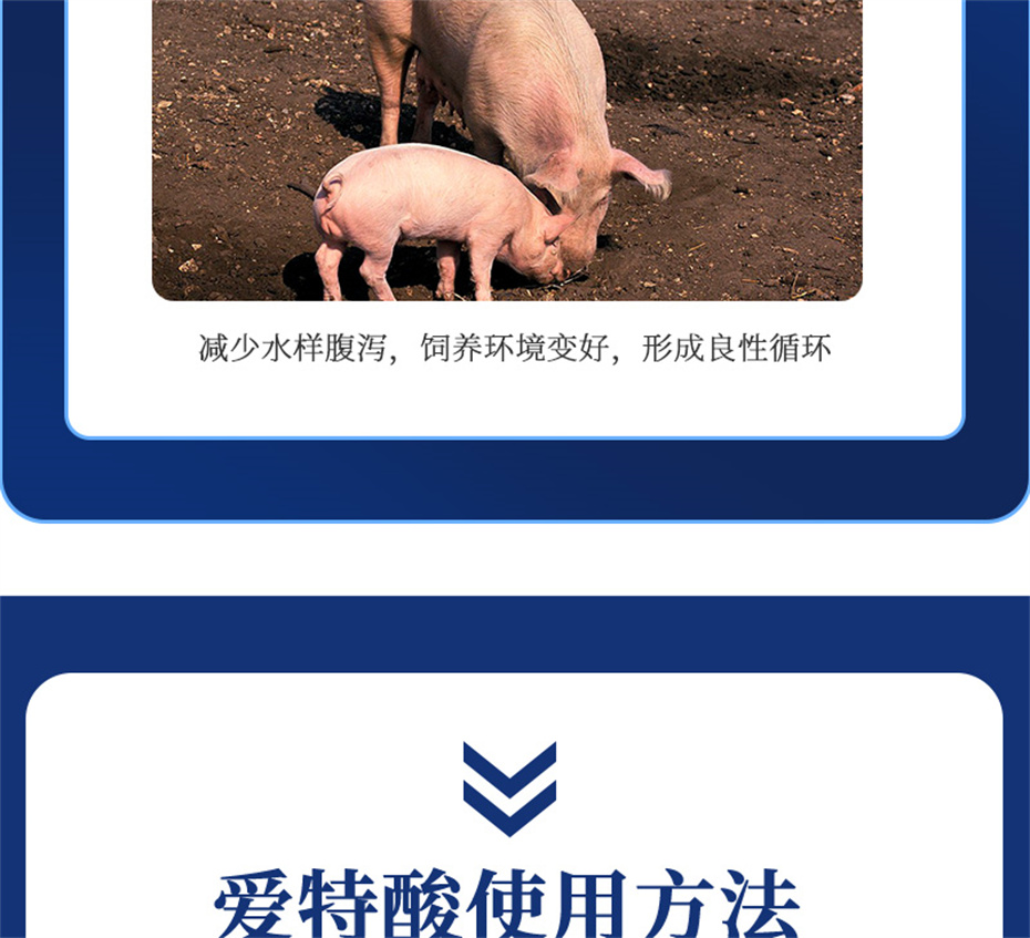 esball世博官网动保猪饲料添加剂爱特酸产品介绍