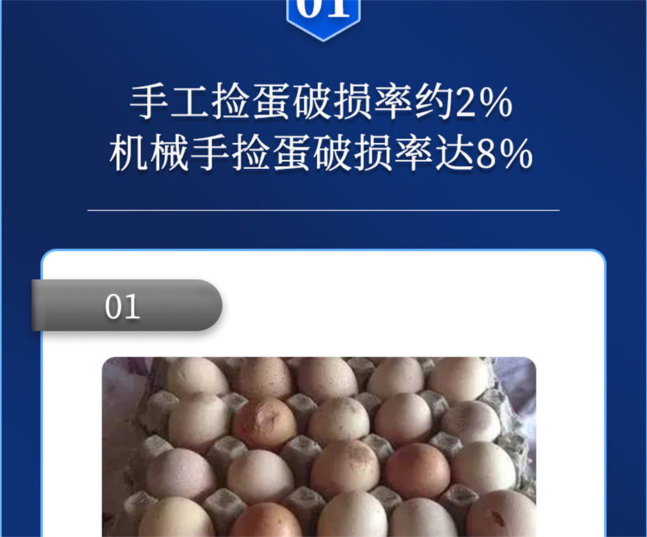 esball世博官网动保禽饲料添加剂强壳宝产品介绍