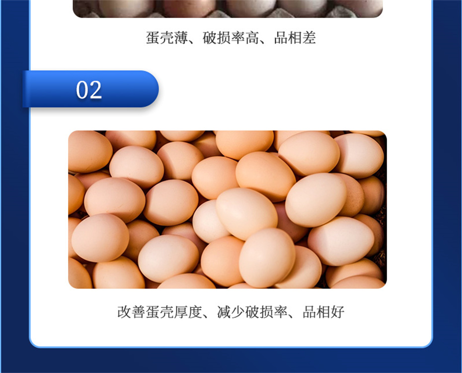 esball世博官网动保禽饲料添加剂强壳宝产品介绍