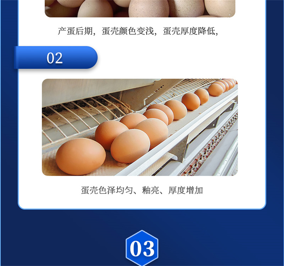 esball世博官网动保禽饲料添加剂强壳宝产品介绍