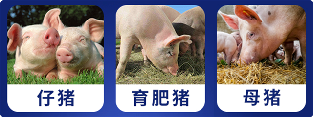 esball世博官网猪饲料添加剂