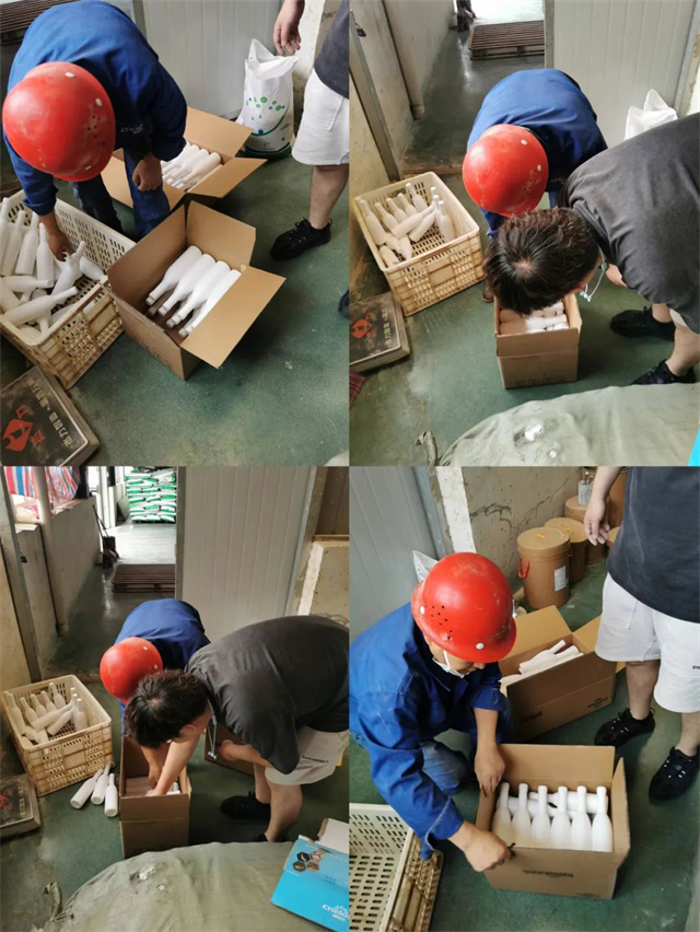 esball世博官网摄影大赛作品《无微而不至》