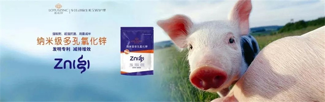 esball世博官网多孔氧化锌