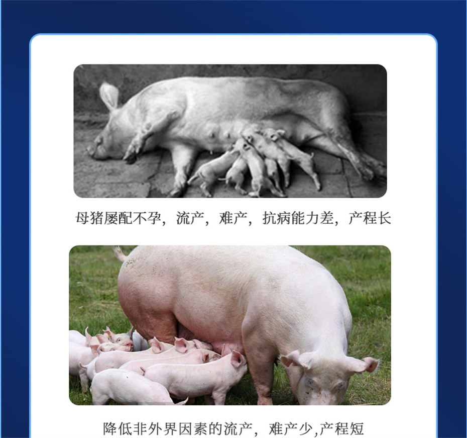 esball世博官网动保猪饲料添加剂健立血产品介绍