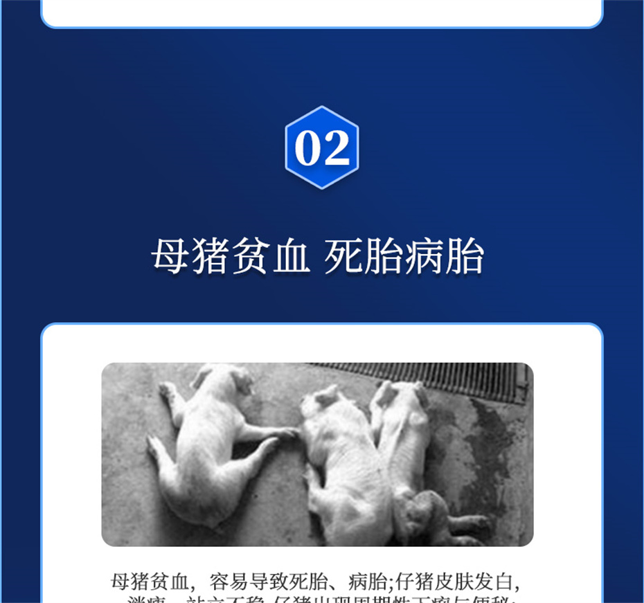 esball世博官网动保猪饲料添加剂健立血产品介绍