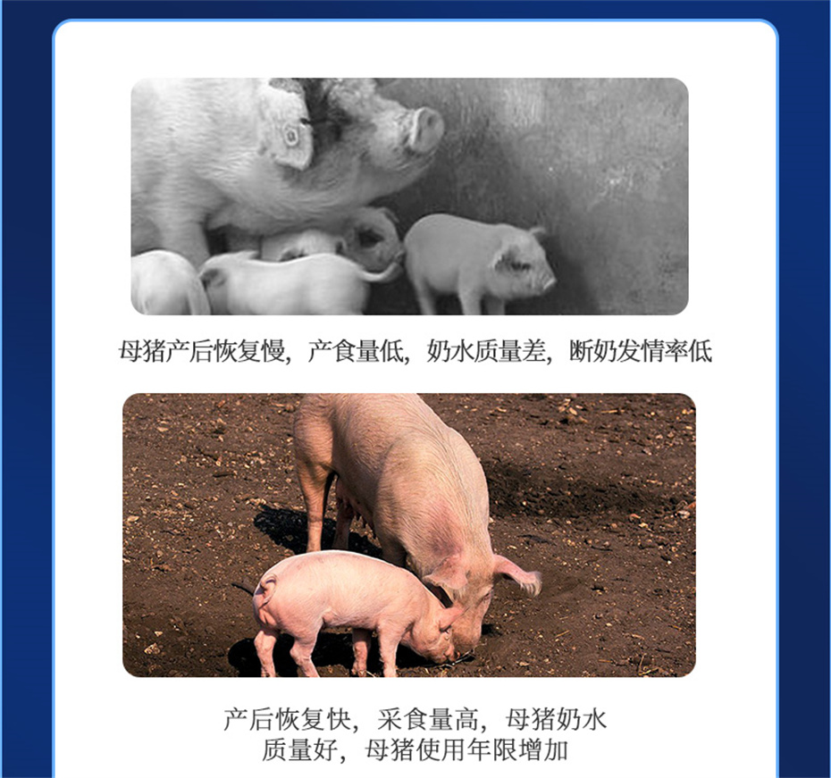 esball世博官网动保猪饲料添加剂健立血产品介绍