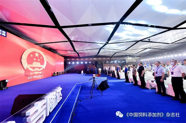esball世博官网研究院启动仪式
