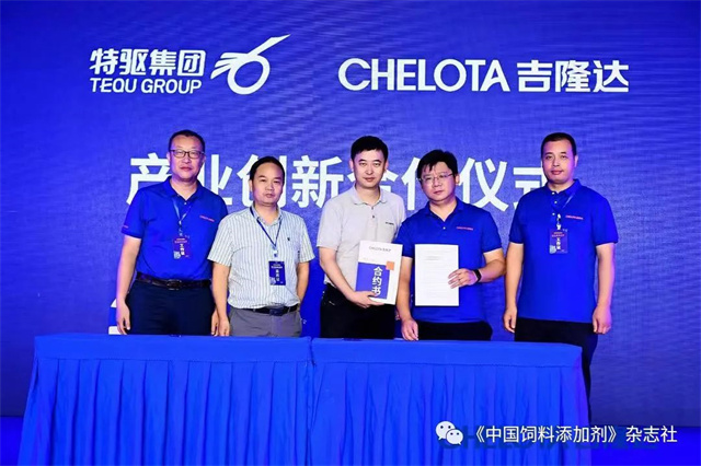 esball世博官网研究院启动仪式