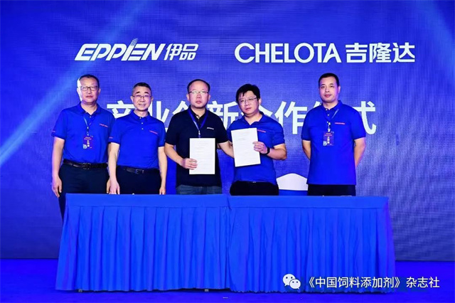 esball世博官网研究院启动仪式