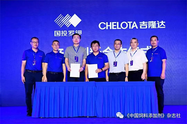 esball世博官网研究院启动仪式