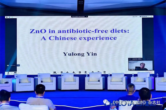 esball世博官网研究院启动仪式
