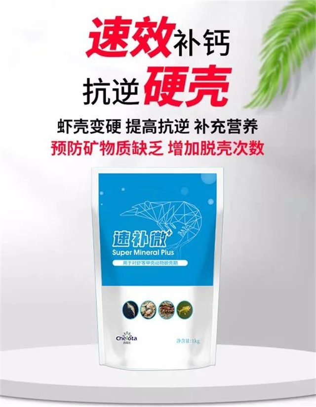 esball世博官网饲料添加剂速补微+
