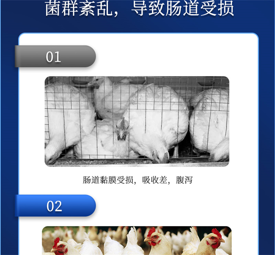 esball世博官网动保饲料添加剂吉生元产品介绍