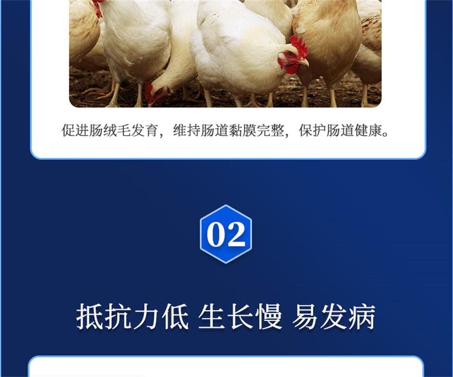 esball世博官网动保饲料添加剂吉生元产品介绍