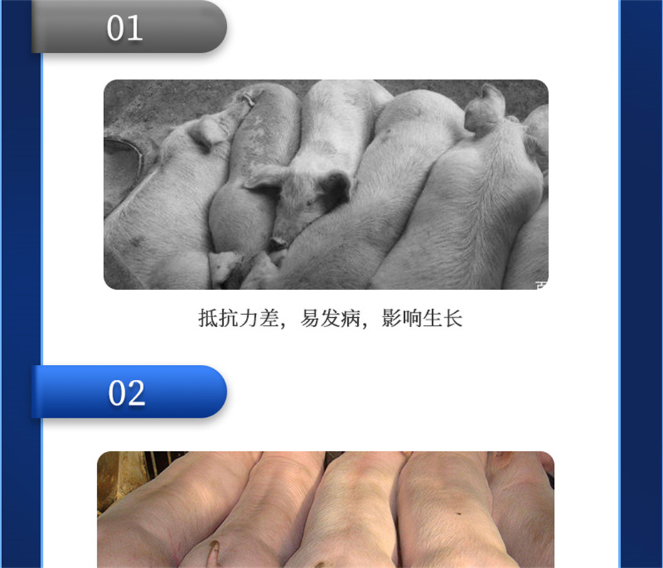 esball世博官网动保饲料添加剂吉生元产品介绍
