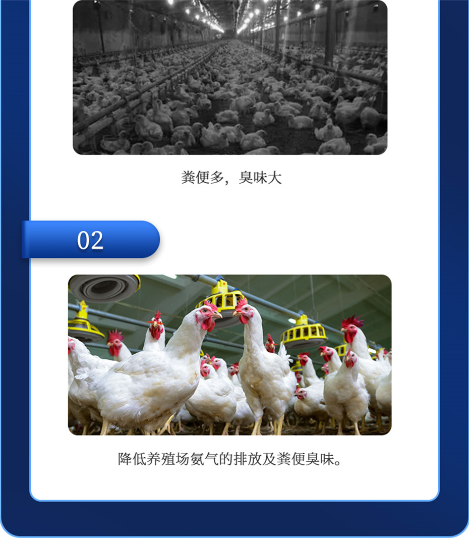 esball世博官网动保饲料添加剂吉生元产品介绍