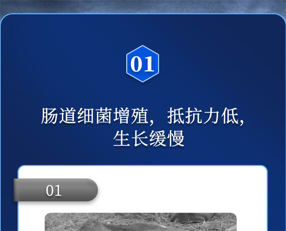 esball世博官网动保饲料添加剂排毒增免肽产品介绍